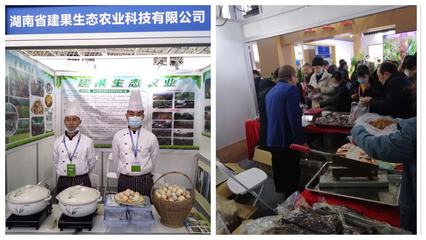 区科技专家服务团服务企业参加武陵山(怀化)国际健康产业博览会